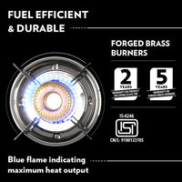 Borosil Magnum Glass-top Gas stove, 2 Burners