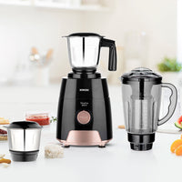 Borosil Silverline RG 600W Mixer Grinders